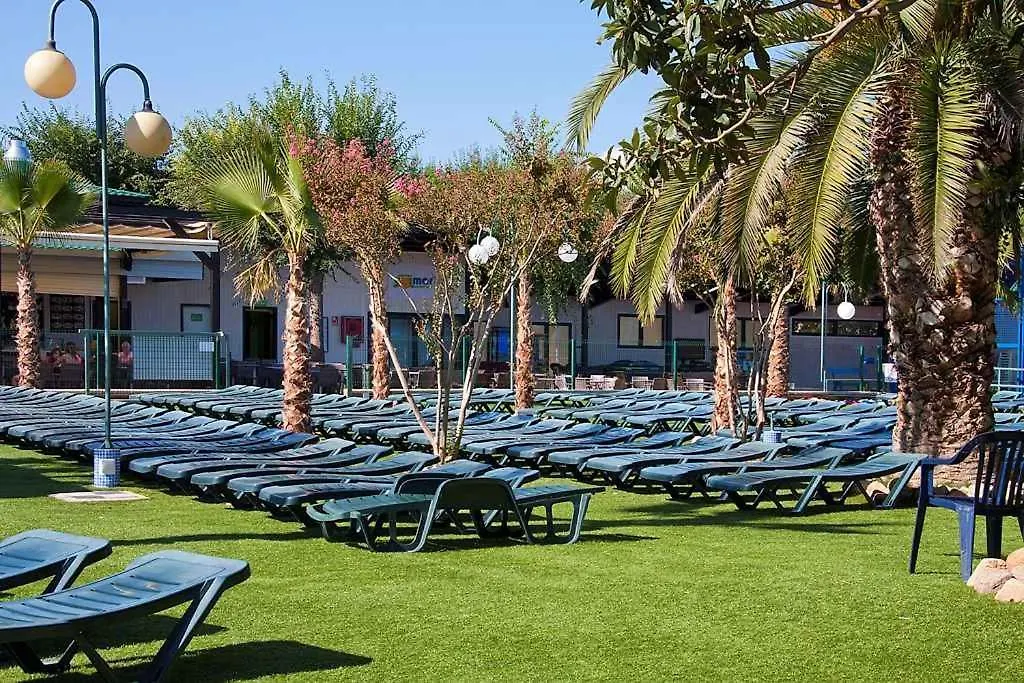 Apartments In Blanes/Costa Brava 35181 Blanes